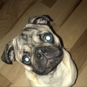 Meet your Posher, Cece